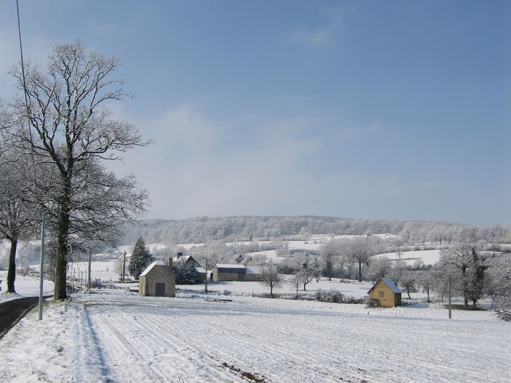 20060223 LE MENAGE 05.JPG